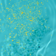Pollen