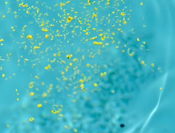 pollen_TeaserHighlight.png