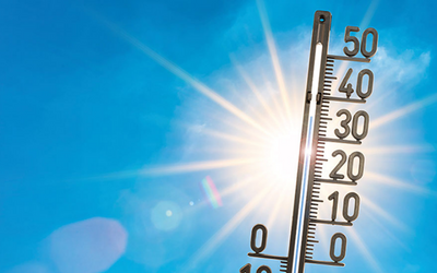 canicule